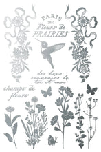 Load image into Gallery viewer, Papillon IOD Foil Transfer 8x12 Pad™