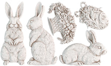 Load image into Gallery viewer, Les Lapins 6x10 IOD Mould™