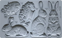 Load image into Gallery viewer, Les Lapins 6x10 IOD Mould™