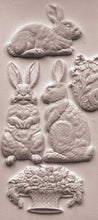 Load image into Gallery viewer, Les Lapins 6x10 IOD Mould™