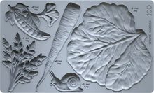 Load image into Gallery viewer, Spring Garden 6x10 IOD Mould™