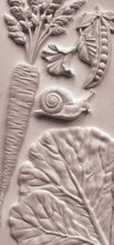 Load image into Gallery viewer, Spring Garden 6x10 IOD Mould™