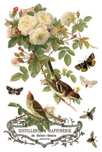 Load image into Gallery viewer, By Any Other Name IOD Transfer 8x12 Pad™