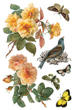 Load image into Gallery viewer, By Any Other Name IOD Transfer 8x12 Pad™