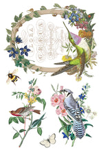 Load image into Gallery viewer, Flora Greca IOD Transfer 8x12 Pad™
