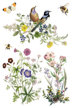 Load image into Gallery viewer, Flora Greca IOD Transfer 8x12 Pad™