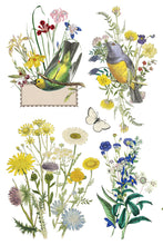 Load image into Gallery viewer, Flora Greca IOD Transfer 8x12 Pad™
