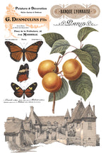 Load image into Gallery viewer, Saint Ouen IOD Transfer 8x12 Pad™