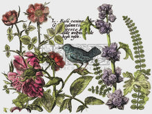 Load image into Gallery viewer, Botanist's Journal IOD Transfer 12x16 Pad
