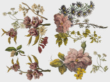 Load image into Gallery viewer, Floral Anthology IOD Transfer 12x16 Pad