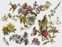 Load image into Gallery viewer, Floral Anthology IOD Transfer 12x16 Pad