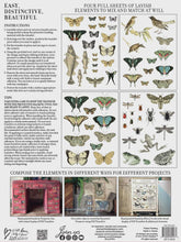 Load image into Gallery viewer, Entomology Etcetera IOD Transfer 12x16 Pad
