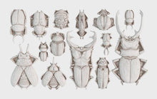 Load image into Gallery viewer, Specimens 6X10 IOD Mould™