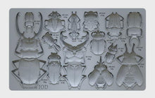 Load image into Gallery viewer, Specimens 6X10 IOD Mould™