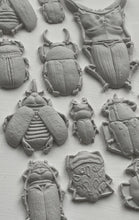 Load image into Gallery viewer, Specimens 6X10 IOD Mould™