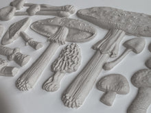 Load image into Gallery viewer, Toadstool 6X10 IOD Mould