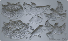 Load image into Gallery viewer, Sparrow's Nest 6x10 IOD Mould™