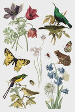 Load image into Gallery viewer, Wilde Bloemen IOD Transfer 8x12 Pad™