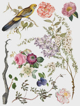 Load image into Gallery viewer, Menagerie IOD Transfer 12x16 Pad™