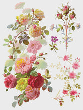 Load image into Gallery viewer, Saint Germain IOD Transfer 12x16 Pad™
