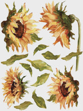 Load image into Gallery viewer, Painterly Florals IOD Transfer 12x16 Pad