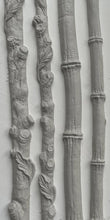 Load image into Gallery viewer, Faux Bois 6X10 IOD Mould™