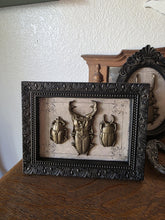 Load image into Gallery viewer, Specimens 6X10 IOD Mould™