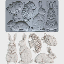 Load image into Gallery viewer, Les Lapins 6x10 IOD Mould™