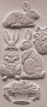 Load image into Gallery viewer, Les Lapins 6x10 IOD Mould™