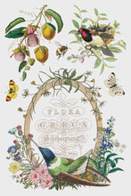 Load image into Gallery viewer, Flora Greca IOD Transfer 8x12 Pad™
