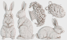 Load image into Gallery viewer, Les Lapins 6x10 IOD Mould™