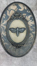 Load image into Gallery viewer, Ornate Oval Victorian Gothic Death Moth Plaque
