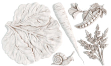 Load image into Gallery viewer, Spring Garden 6x10 IOD Mould™
