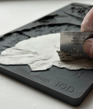 Load image into Gallery viewer, Spring Garden 6x10 IOD Mould™
