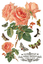 Load image into Gallery viewer, By Any Other Name IOD Transfer 8x12 Pad™
