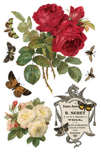Load image into Gallery viewer, By Any Other Name IOD Transfer 8x12 Pad™

