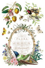 Load image into Gallery viewer, Flora Greca IOD Transfer 8x12 Pad™
