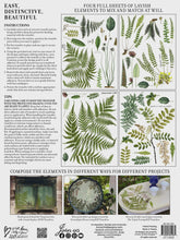 Load image into Gallery viewer, Fronds Botanical IOD Transfer 12x16 Pad
