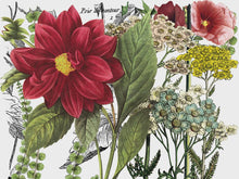 Load image into Gallery viewer, Midnight Garden IOD Transfer 12x16 Pad
