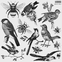 Load image into Gallery viewer, Birds &amp; Bees 12x12 IOD Stamp

