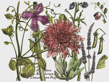 Load image into Gallery viewer, Botanist's Journal IOD Transfer 12x16 Pad
