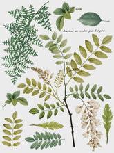 Load image into Gallery viewer, Fronds Botanical IOD Transfer 12x16 Pad
