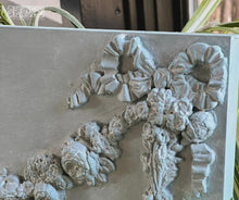 Load image into Gallery viewer, Bows 6x10 IOD Mould™

