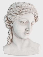 Load image into Gallery viewer, Persephone 5x7 IOD Mould™
