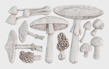 Load image into Gallery viewer, Toadstool 6X10 IOD Mould
