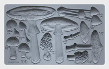 Load image into Gallery viewer, Toadstool 6X10 IOD Mould
