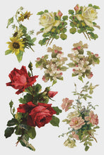 Load image into Gallery viewer, Catharina IOD Transfer 8x12 Pad™
