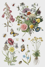 Load image into Gallery viewer, Wilde Bloemen IOD Transfer 8x12 Pad™
