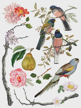 Load image into Gallery viewer, Menagerie IOD Transfer 12x16 Pad™
