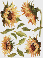 Load image into Gallery viewer, Painterly Florals IOD Transfer 12x16 Pad

